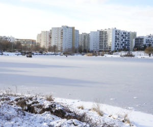 Wróżby pogodowe na rok! Jak dawniej chłopi odczytywali przyszłość z dnia św. Łucji