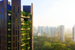 Zielone fasady odmieniają miasta: jak rośliny zmieniają miejską przestrzeń?