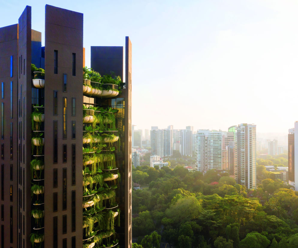 Zielone fasady odmieniają miasta: jak rośliny zmieniają miejską przestrzeń?