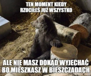Memy o Bieszczadach