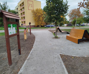 Park kieszonkowy przy ul. Żytniej w Siedlcach