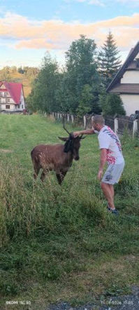 Zauważyli jego problem i postanowili działać. Uwolnili jelenia