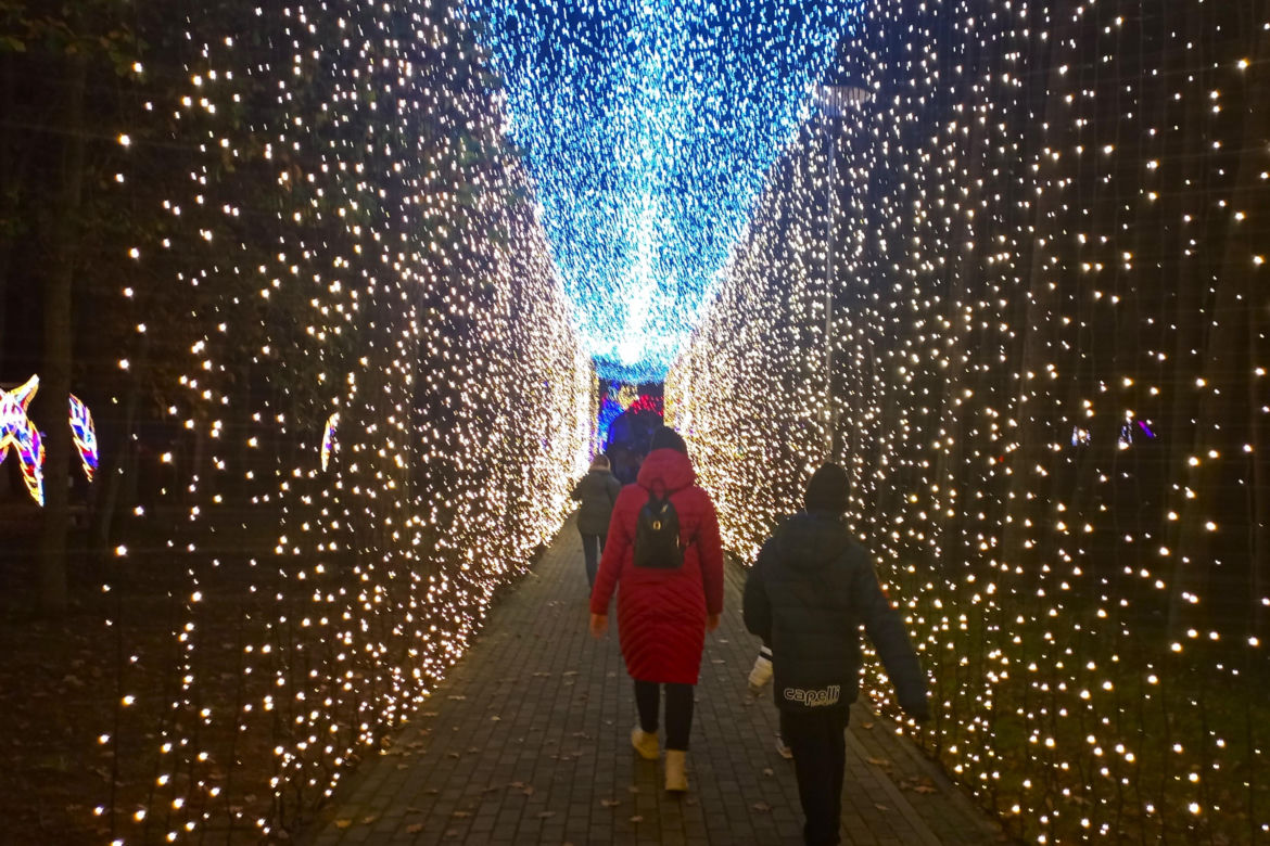 Garden of Lights w Szczecinie