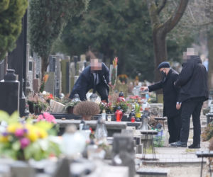 Prezes z palmą, Wałęsa bez
