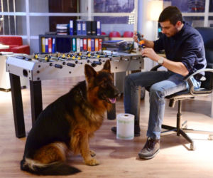 Komisarz Alex 7 sezon odc. 82 (odc. 4). Michał Orlicz (Antoni Pawlicki)