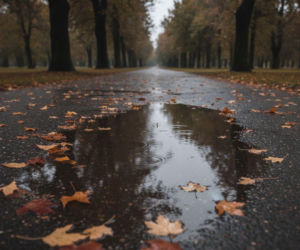 Weekend w Bydgoszczy z wyraźną zmianą pogody. Jeden dzień będzie kluczowy dla planów