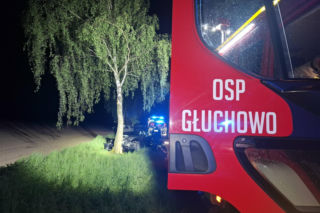 Kościaniak uderzył autem w drzewo. Chciał uniknąć zderzenia z sarną [ZDJĘCIA]