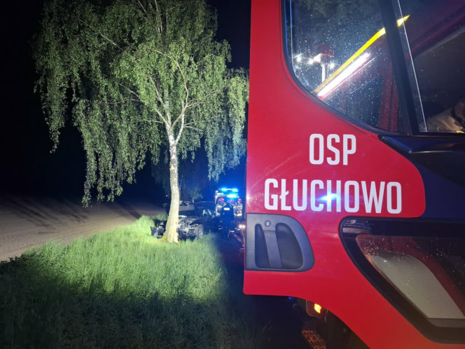Kościaniak uderzył autem w drzewo. Chciał uniknąć zderzenia z sarną [ZDJĘCIA]