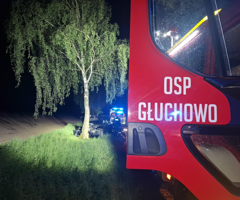 Uderzył autem w drzewo. Chciał uniknąć zderzenia z sarną