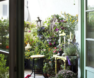 Balkon pełen kwiatów
