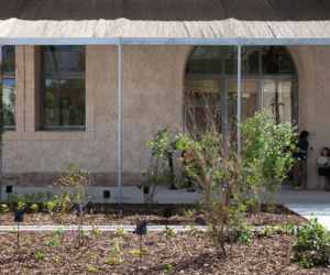 Lot 8_Arles_4