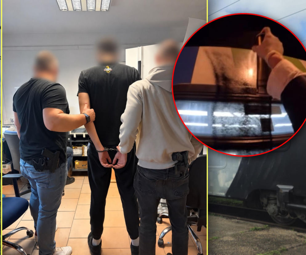 Zaatakowali i zniszczyli pociąg Polregio w Ładzinie. Policja zatrzymała kolejne osoby