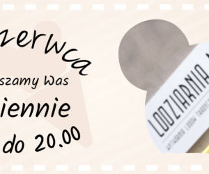 Najlepsze lodziarnie w Trójmieście! Zobacz zestawienie [TOP 5]