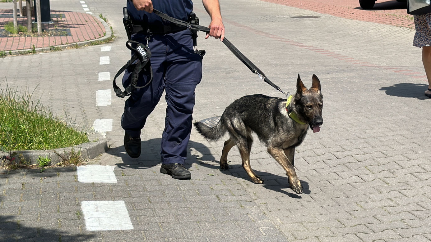 Alarm w Piasecznie! Więzień pobił policjanta i uciekł sprzed sądu!
