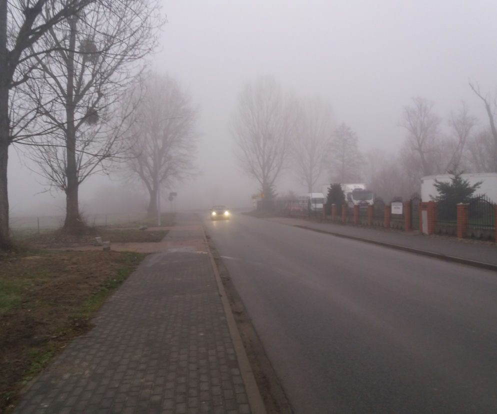 Mgła droga 