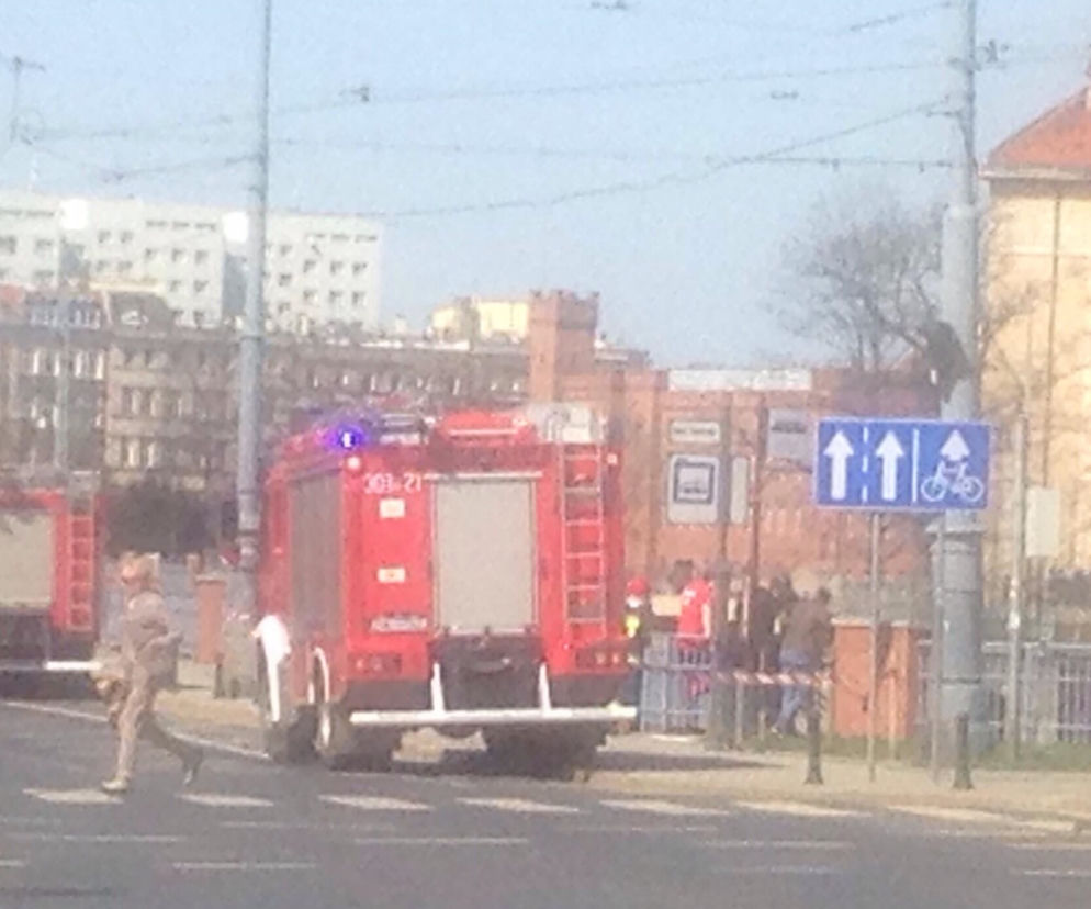 Są wyniki sekcji zwłok wyłowionych przy moście Piaskowym