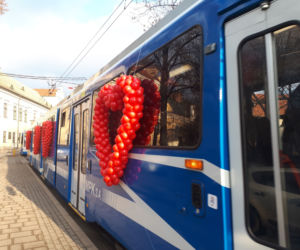 Specjalny tramwaj i... walka o budki lęgowe czyli krakowianie świętowali walentynki