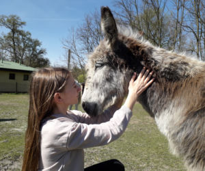 11-letnia Emilka sprzedaje ciasteczka i swoje zabwki, by wykupywać konie z rzeźni