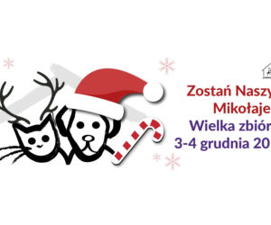 Wielka zbiórka w Schronisku na Paluchu