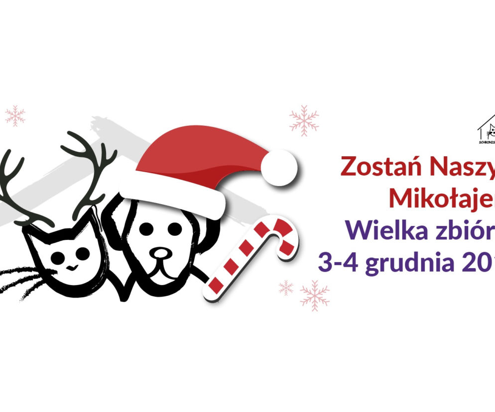 Wielka zbiórka w Schronisku na Paluchu