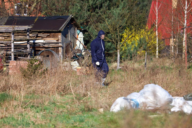 Horror koło Ostródy. Zwierzęta konały bez światła, wody i jedzenia