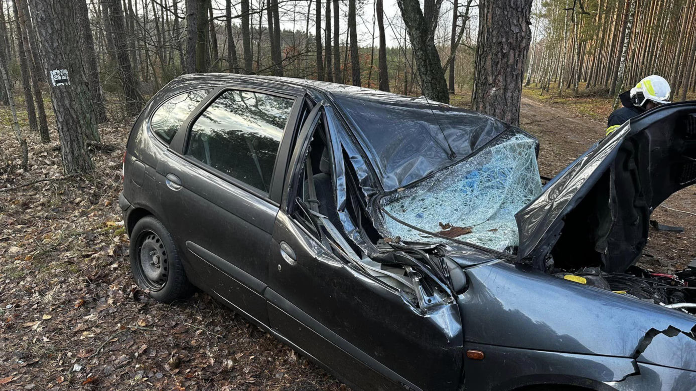 Wypadek na DK 10 w Solcu Kujawskim! Osobówka wypadła z drogi i uderzyła w drzewo [ZDJĘCIA]