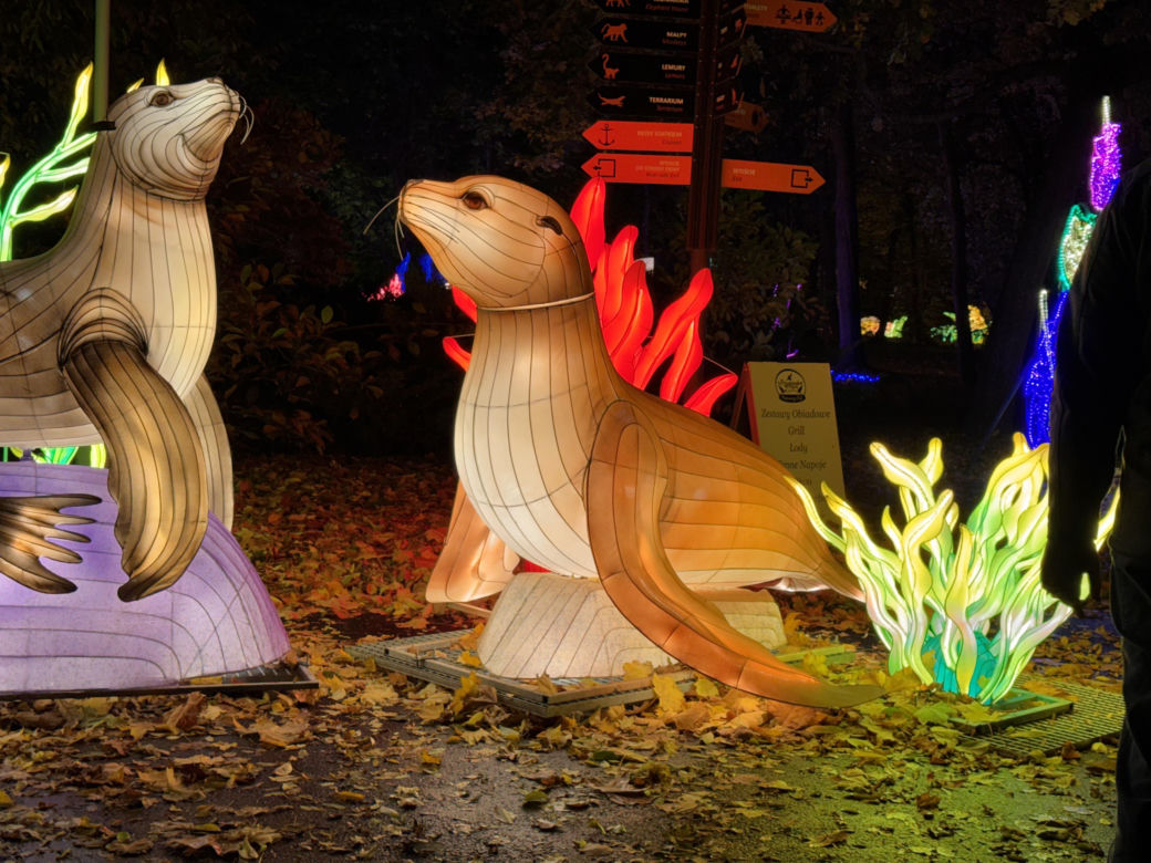Garden of Lights we Wrocławiu