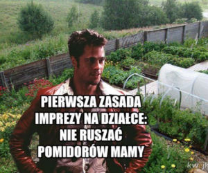 Majwówka 2020 memy