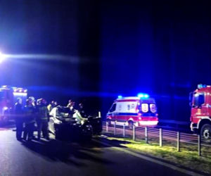 Zderzenie bmw z łosiem w miejscowości Markowszczyzna