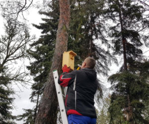  Budki lęgowe zawisły w bydgoskim Ogrodzie Botanicznym UKW w Bydgoszczy