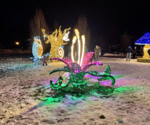 Świąteczne iluminacje w Muszynie