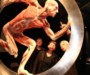 BODY WORLDS w Katowicach