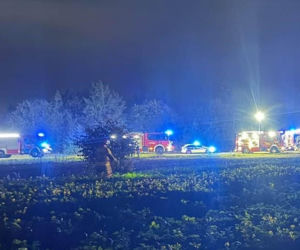 Volkswagen zjechał z drogi i uderzył w drzewo. Kierowca spłonął w aucie