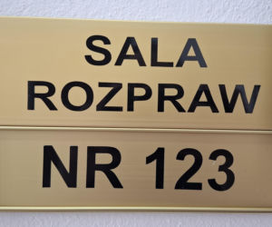 Kalisz. Zostawił psa w nagrzanym aucie. Jest drugi wyrok dla 27-latka 