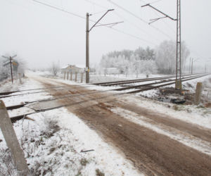 Pociąg zmiażdżył ciężarną Angelikę i małą Amelkę. Dopiero po tragedii wycięli chaszcze przy torach