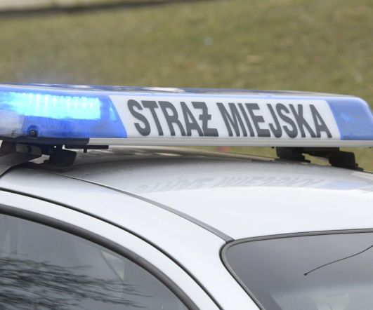 Rozsiadła się w klasie, udawała uczennicę. Na miejsce wezwano straż