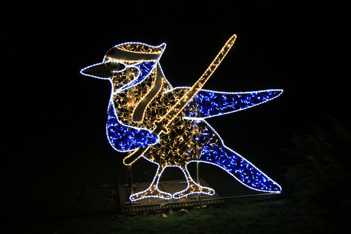 Park iluminacji „Tajemniczy Ogród” w Lublinie