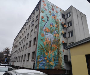 Arrasy na budynku. Kraków ma kolejny mural