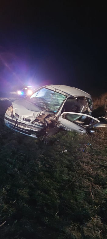 Tak wygląda auto po zderzeniu z łosiem