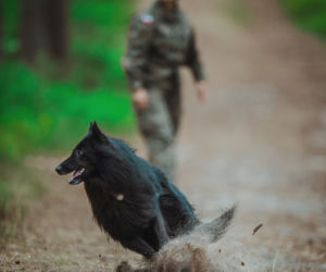 Ares pierwszy ratowniczy w wojsku