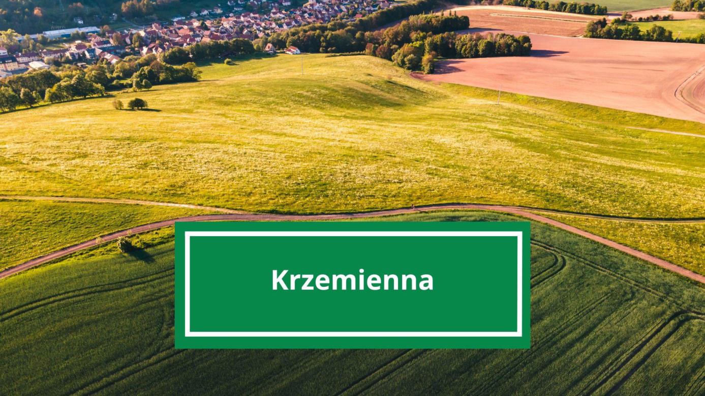 Krzemienna