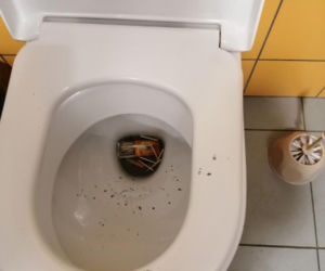  Nastolatkowi jak tsunami przeszli przez toaletę. Zniszczenia sięgają 15 tysięcy!