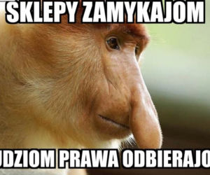 Zakaz handlu w niedziele - memy