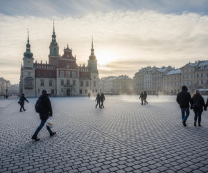 Poznań, 19 stycznia. Mróz wisi w powietrzu, ale słońce nadchodzi!