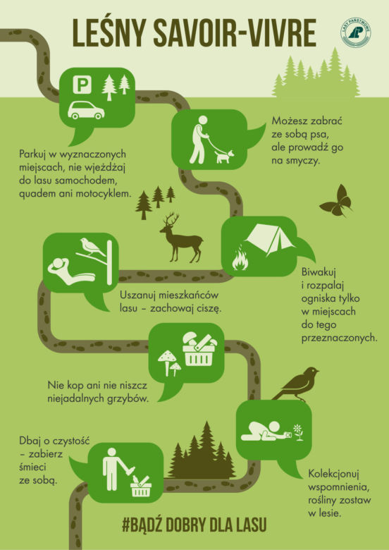 Survival i bushcraft w polskich lasach. Zobacz, gdzie możesz uprawiać swoje hobby