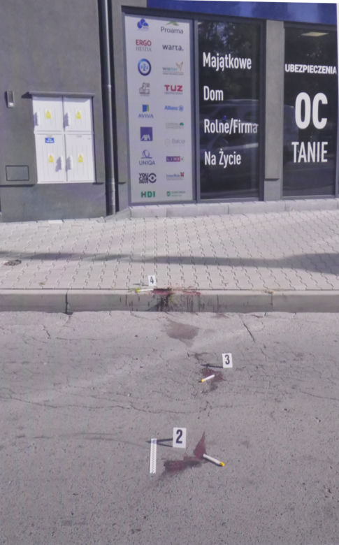 Emil osierocił dwoje dzieci