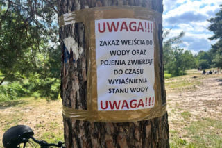 Setki martwych ryb w Jeziorce. Pilny komunikat dla mieszkańców