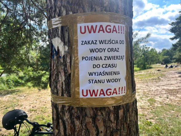 Setki martwych ryb w Jeziorce. Pilny komunikat dla mieszkańców