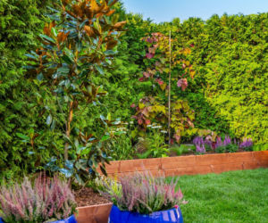 Ogródek przy mieszkaniu w bloku