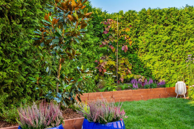 Ogródek przy mieszkaniu w bloku